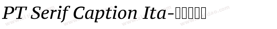 PT Serif Caption Ita字体转换